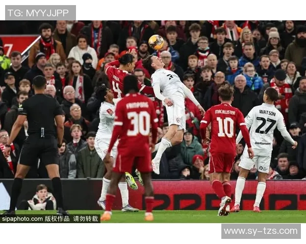 五年对比：范戴克数据全面进化！