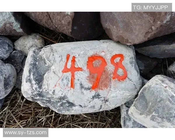 最新F1赛季车队积分动态与车手排名实时更新追踪报道