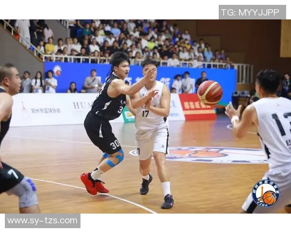 今日体育焦点赛事盘点及精彩数据汇总全景呈现